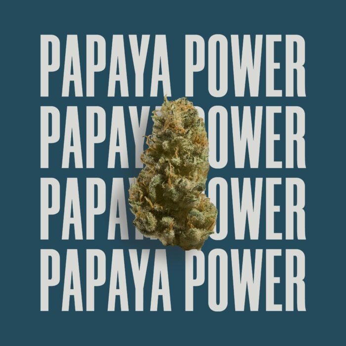 PAPAYA POWER